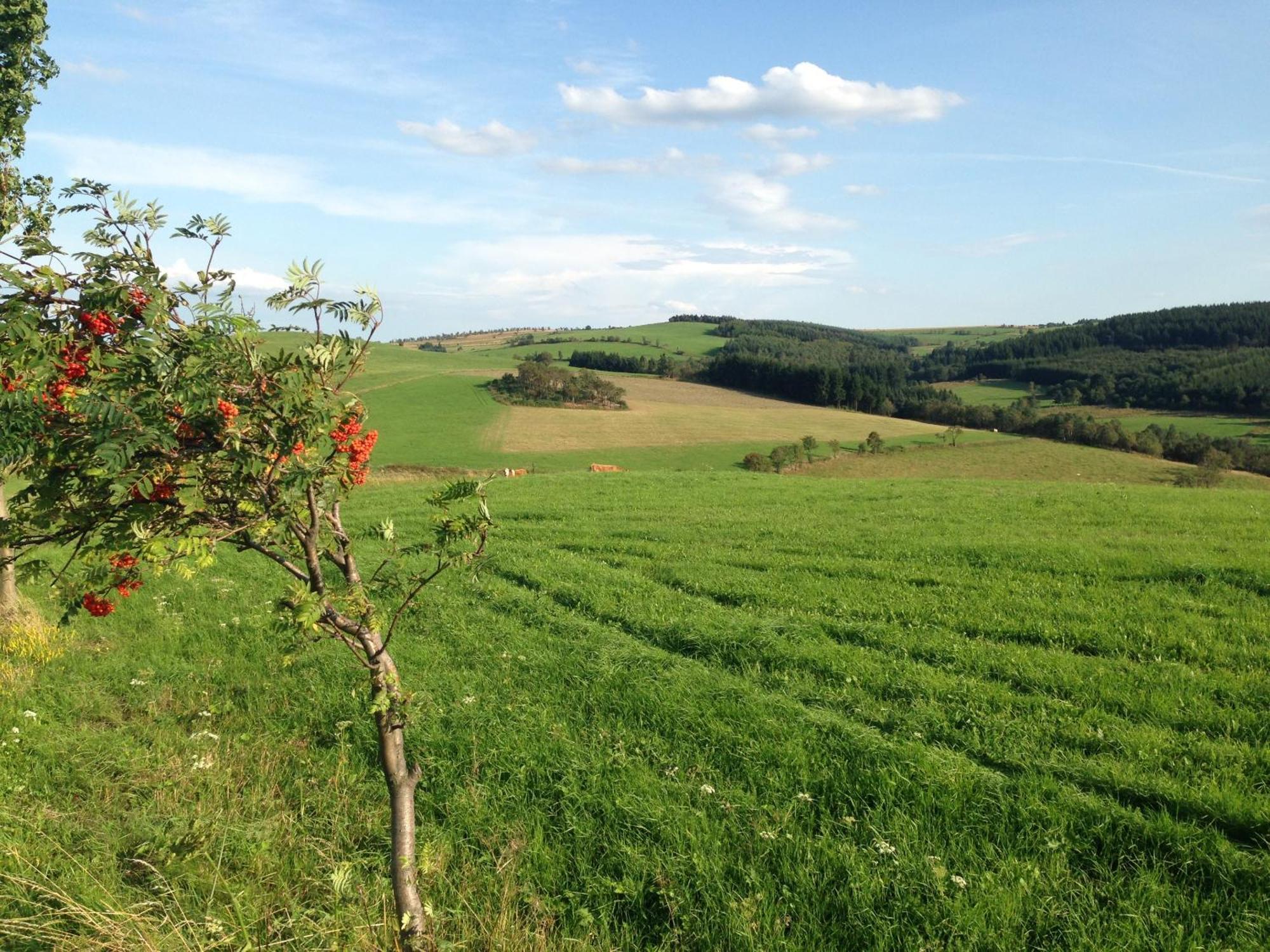 Ferienhaus Bikehuette Rehnhaeusl Geising Luaran gambar