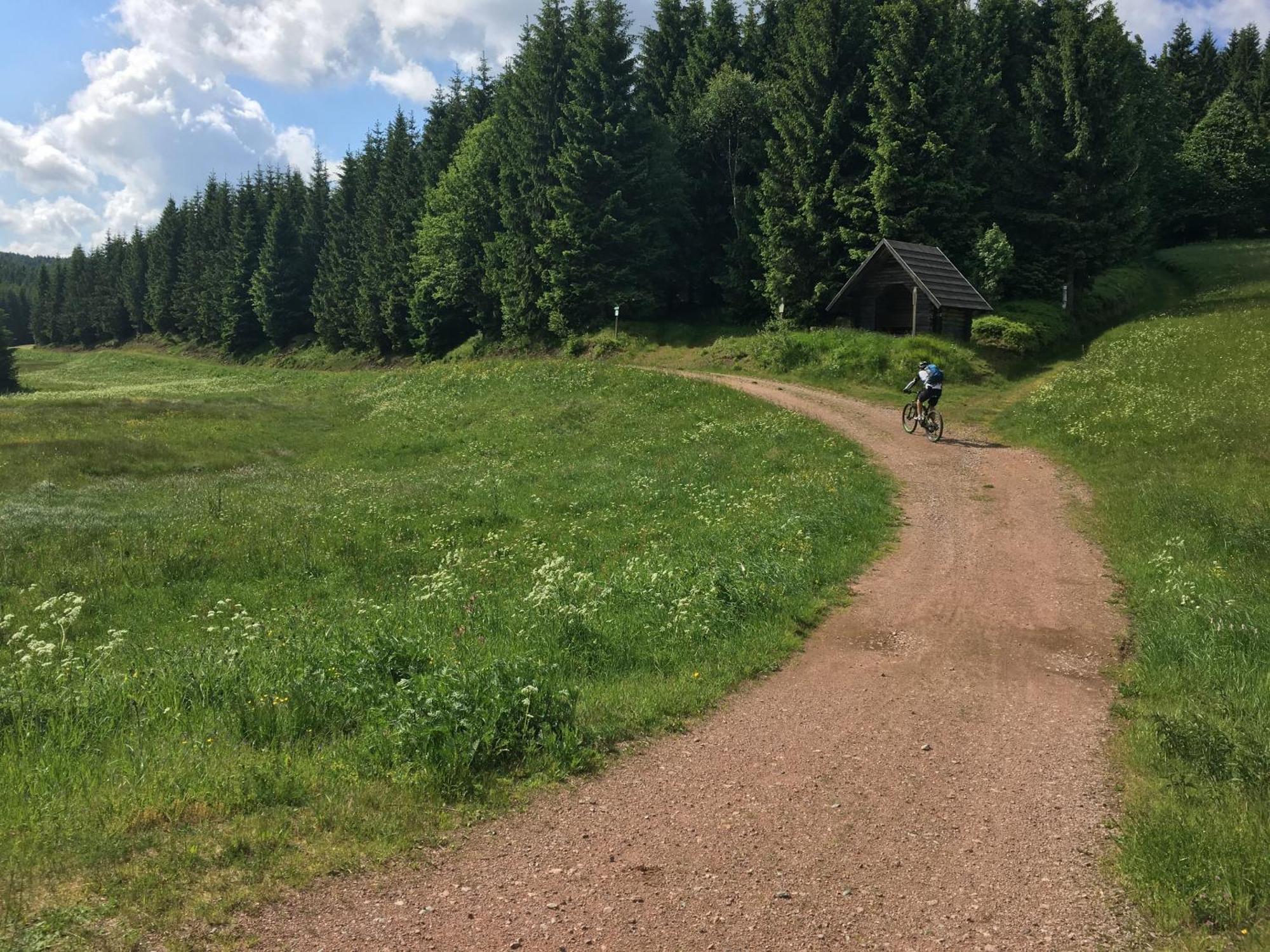 Ferienhaus Bikehuette Rehnhaeusl Geising Bilik gambar