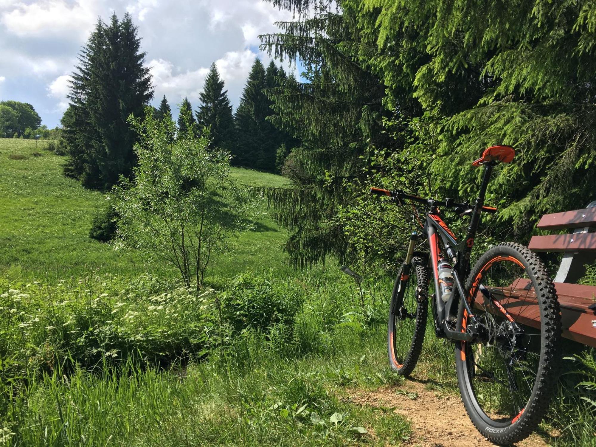 Ferienhaus Bikehuette Rehnhaeusl Geising Luaran gambar